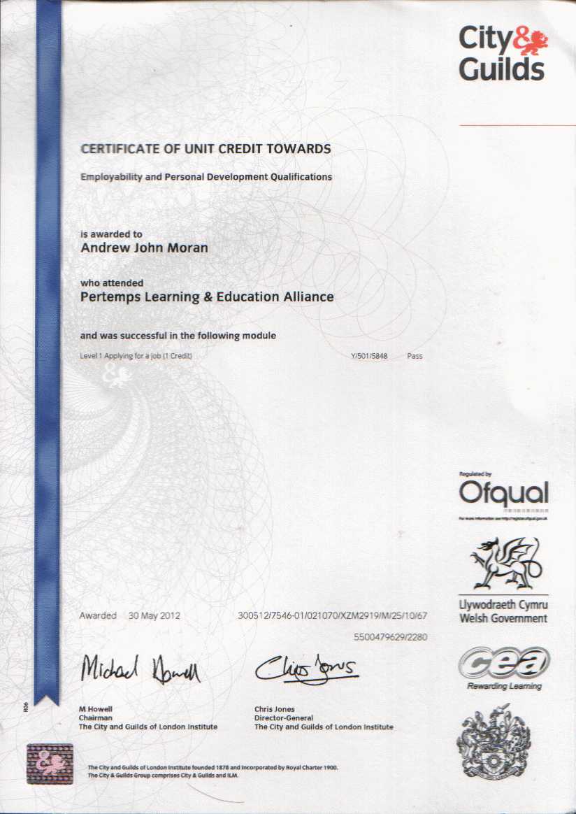 City and Guilds Applying for a Job Module Cert